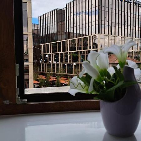 Central Palace Iasi Apart 2 Екстериор снимка