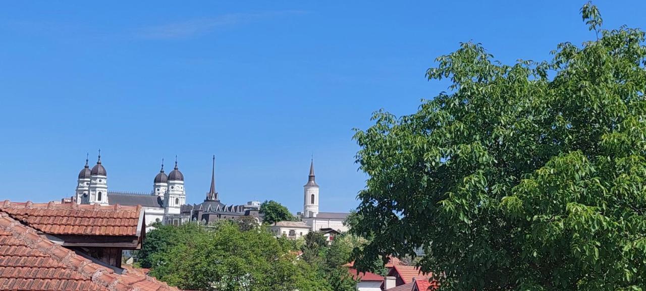 Central Palace Iasi Apart 2 Екстериор снимка