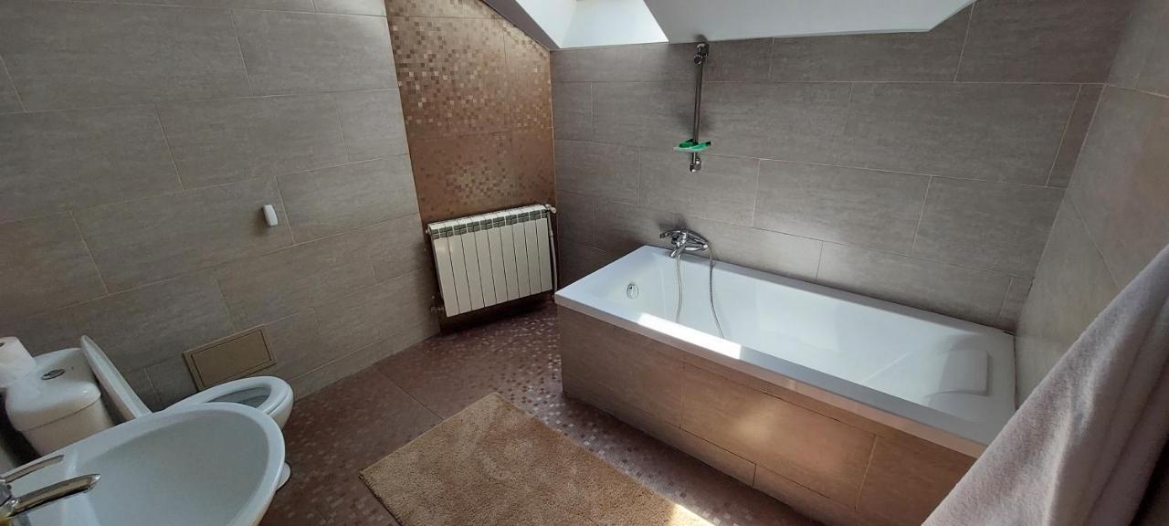 Central Palace Iasi Apart 2 Екстериор снимка